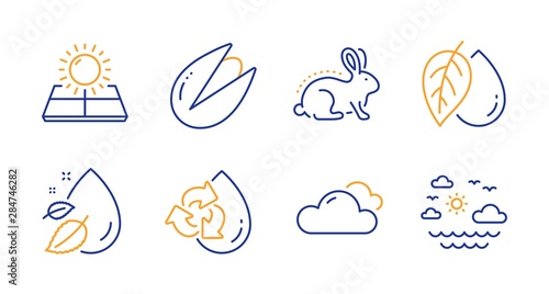 Pistachio nut  Mineral oil and Cloudy weather line icons set. Animal tested  Sun energy and Water drop signs. Recycle water  Travel sea symbols. Vegetarian food  Organic tested. Nature set. Vector
