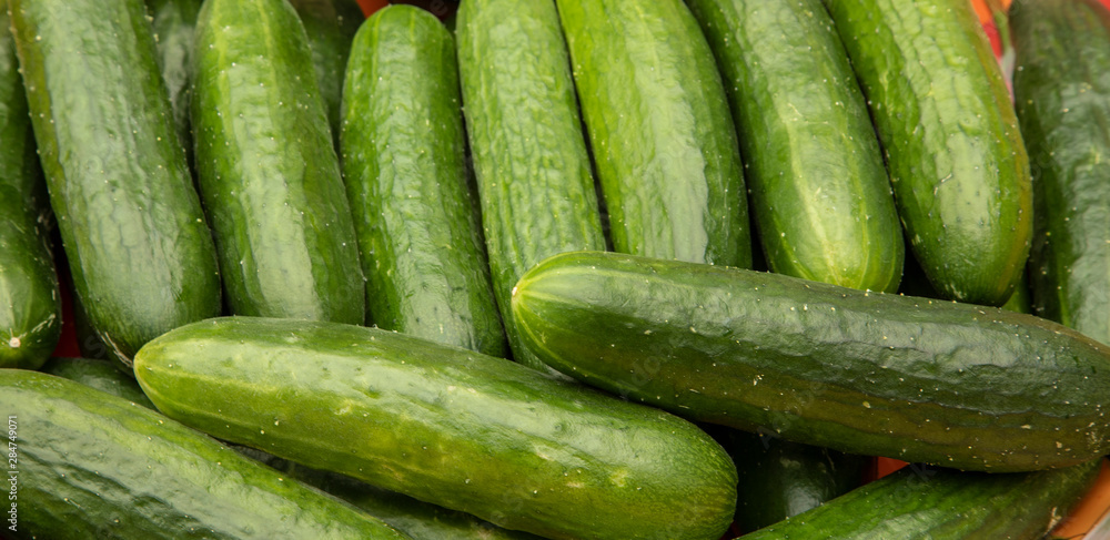 cucumbers fresh cucumbers fresh