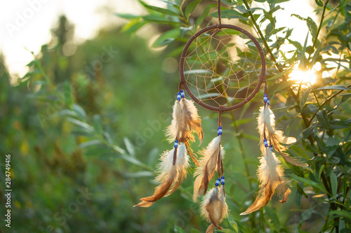 Dreamcatcher sunset, on a green tree, boho chic, ethnic amulet, symbol, with space, usa indian symbol © Anton