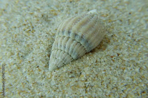 Beach macro textures