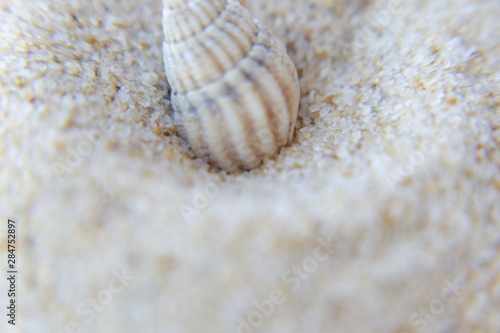 Beach macro textures