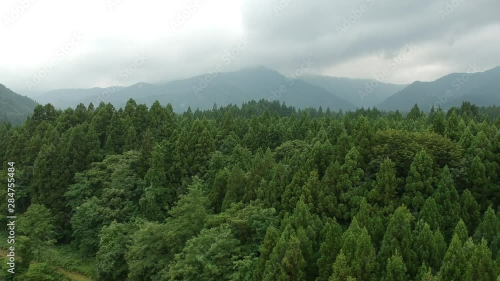 空撮 日本の広大な森林 自然風景 秋田県 山林 空撮 日本の広大な森林 自然風景 秋田県 山林