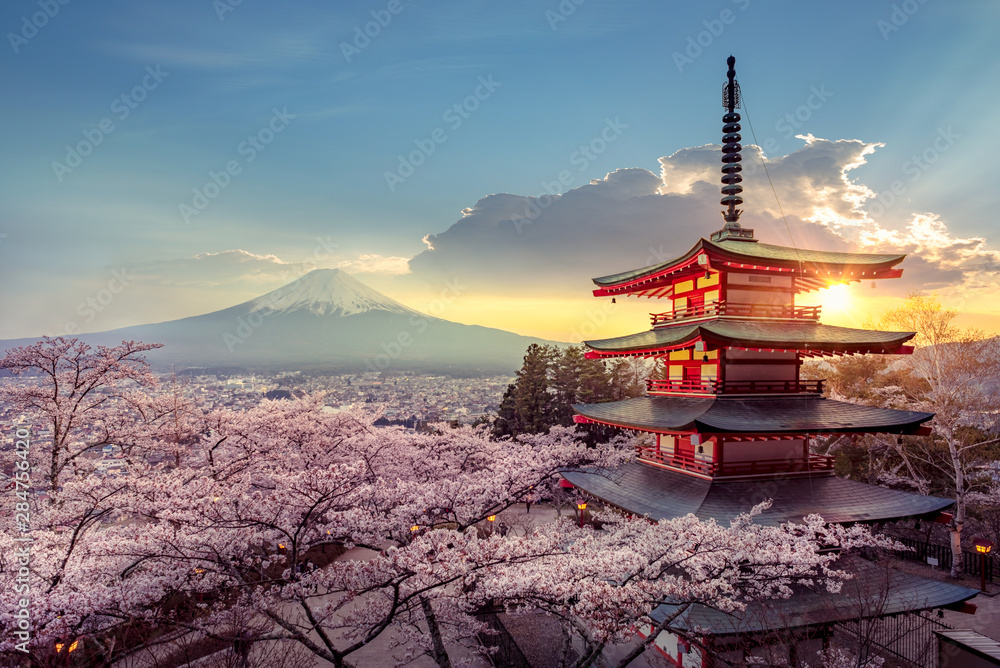 Fujiyoshida, Japan Beautiful view of mountain Fuji and Chureito pagoda at sunset, japan in the spring with cherry blossoms - obrazy, fototapety, plakaty 