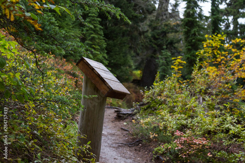 Фотография Trailhead in the forest
