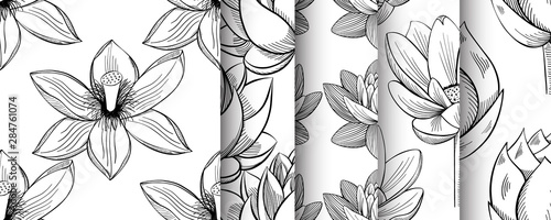 Lotus lily water flower seamless pattern set in a vintage style