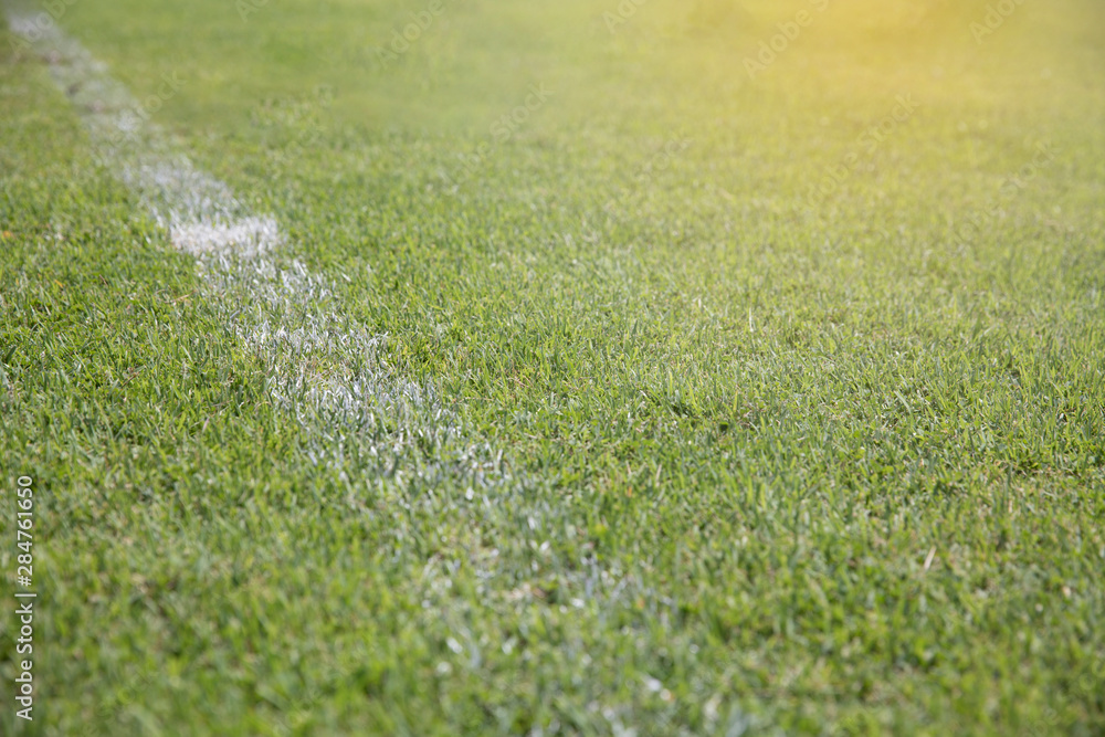 Close-up soccer field with line