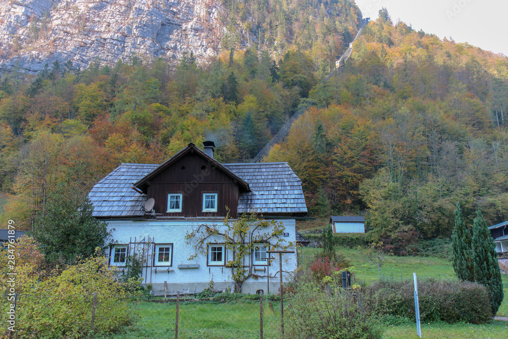 A view from the Buildings and nature