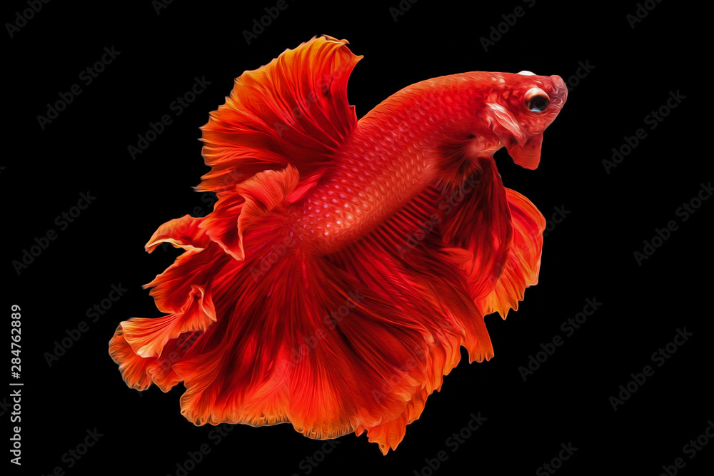 oil paint the motion of siames figthing fish..betta splenden fish. oil paint the motion of siames figthing fish..betta splenden fish.