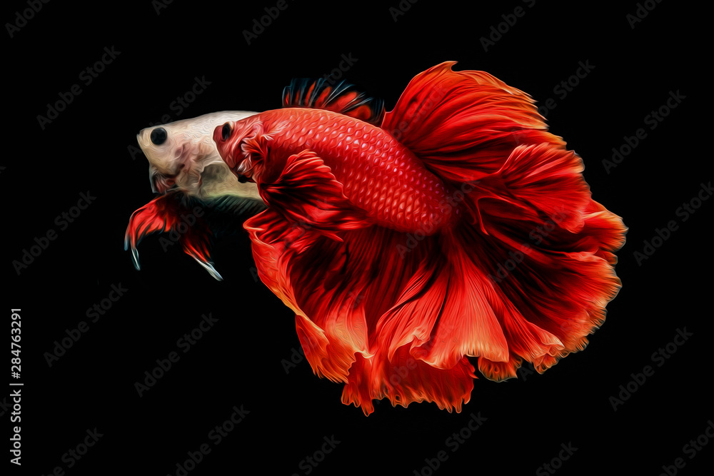 oil paint the motion of siames figthing fish..betta splenden fish. oil paint the motion of siames figthing fish..betta splenden fish.