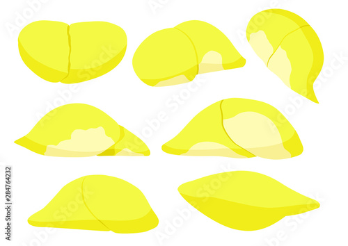 durian fruit colour yellow and ripe durian piece on white background illustration vector 