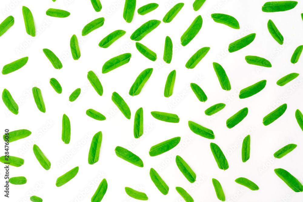 seamless pattern with leaves seamless pattern with leaves