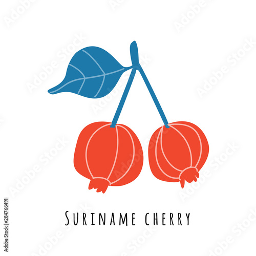 Suriname cherry fruit illustration