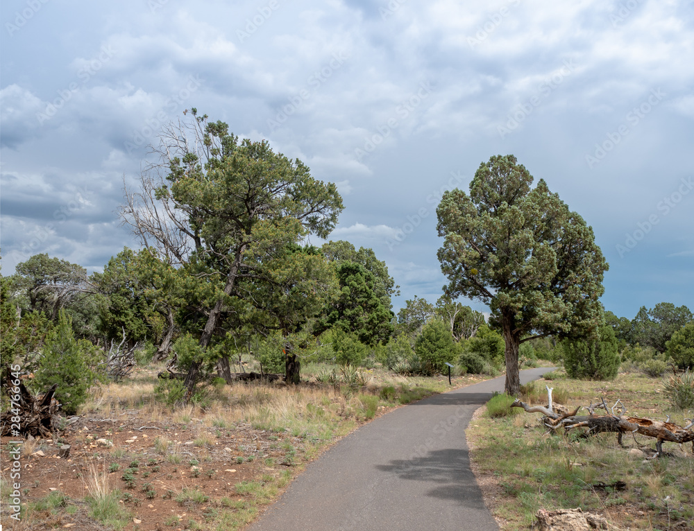 Scenic paved trail at Walnut Creek National Monument, Flagstaff, Arizona, USA.