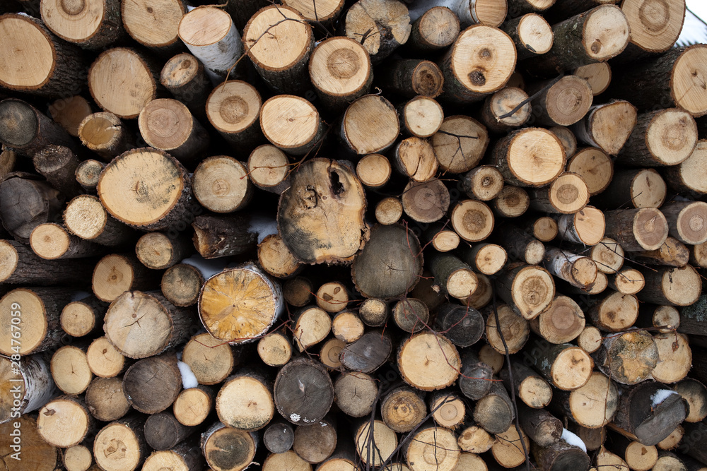 Firewood for heating in the cold season Firewood for heating in the cold season