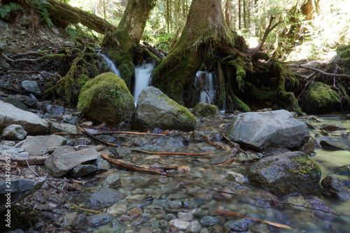 Opal Creek Trail Flowing Water Hiking in Oregon photo