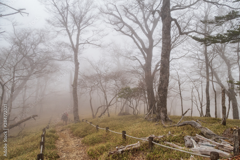 Fototapeta premium Refreshing Mie Prefecture, Japan