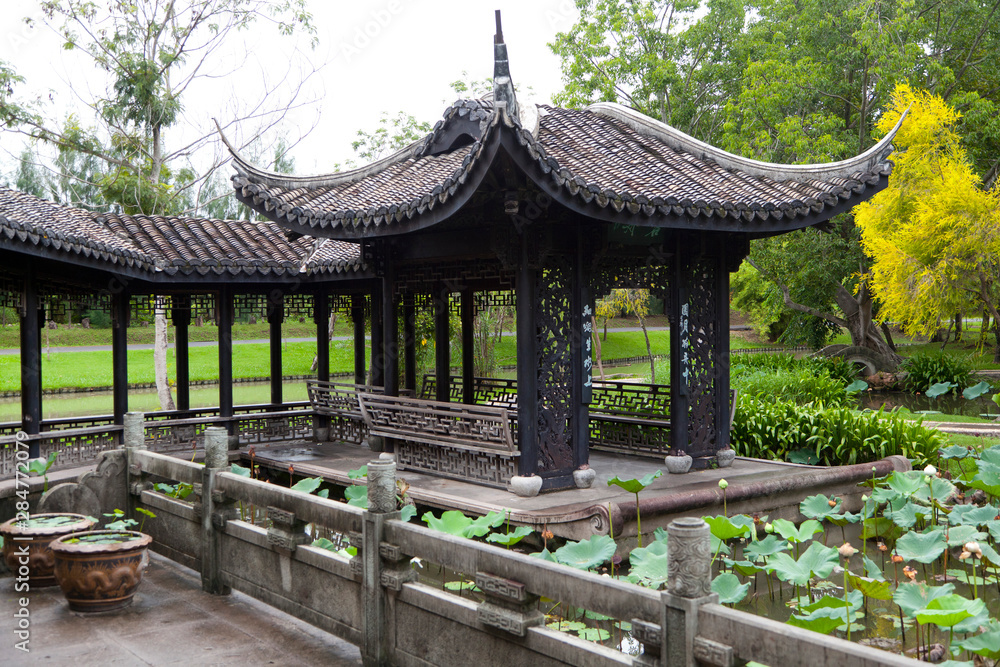 Chinese pavilion in Garden with Willow Green Trees.
