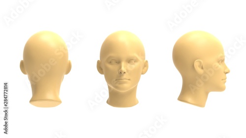 3d rendering of a human model isolated in white background