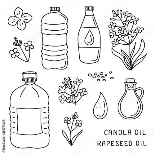 Set of doodle canola oil and flowers.