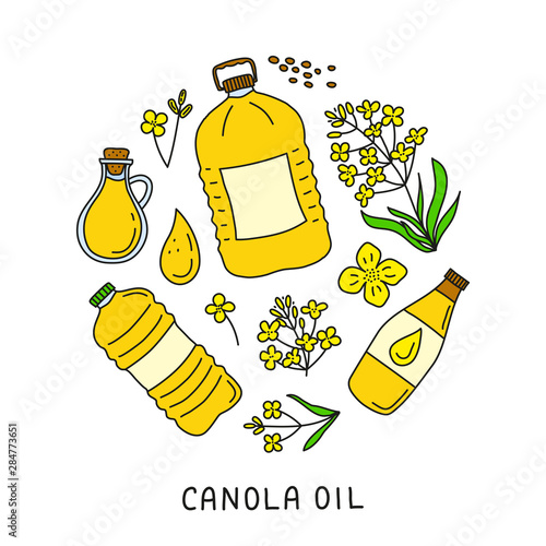 Doodle canola oil and flowers in circle.