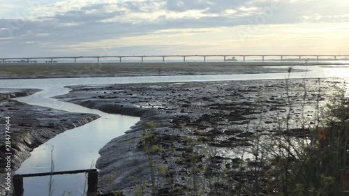 Bridge over the Bay of Biscay to the island d'Oleron at sunrise, plants dancing, Fort Louvois in the background, Charente, France photo