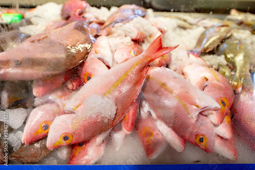 ニューカレドニア、ヌメアシティーマーケットの鮮魚