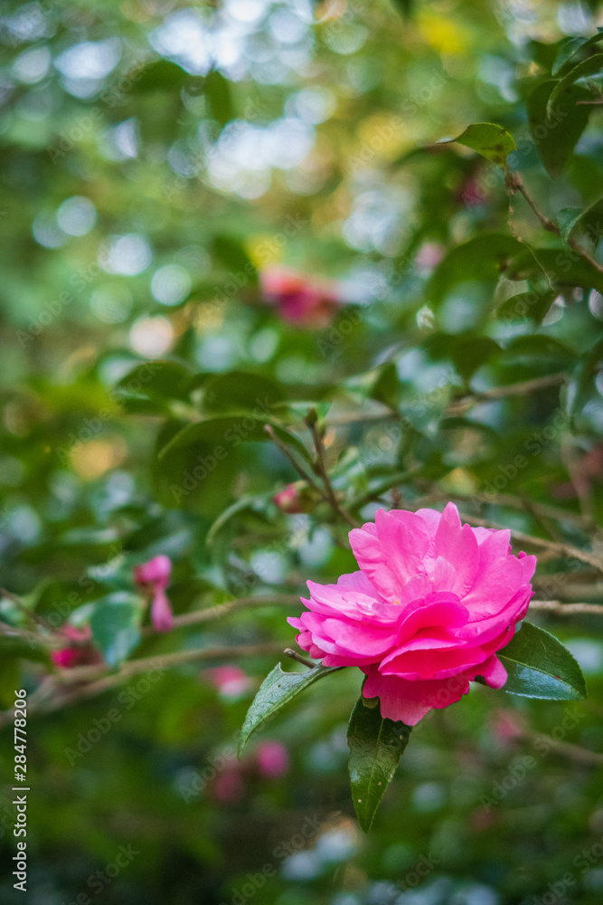 Refreshing in Hyogo Prefecture, Japan Refreshing in Hyogo Prefecture, Japan