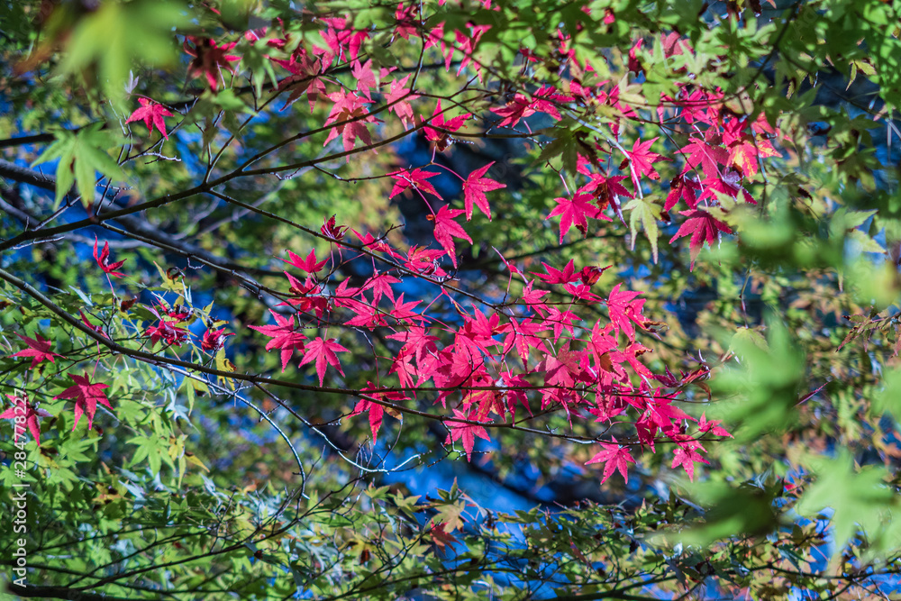 Refreshing in Hyogo Prefecture, Japan