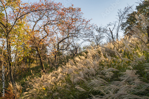 Refreshing in Hyogo Prefecture, Japan