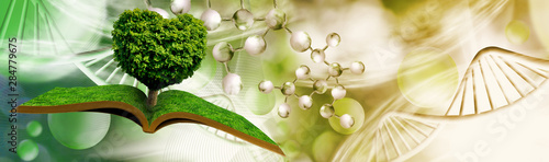 A stylized image of a tree ...