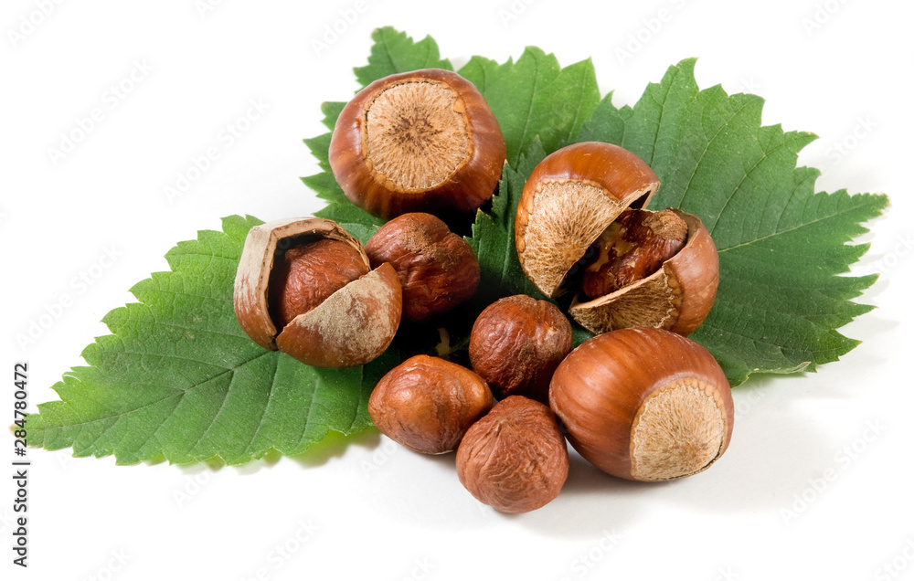 Isolated image of hazelnuts on a white background closeup Isolated image of hazelnuts on a white background closeup
