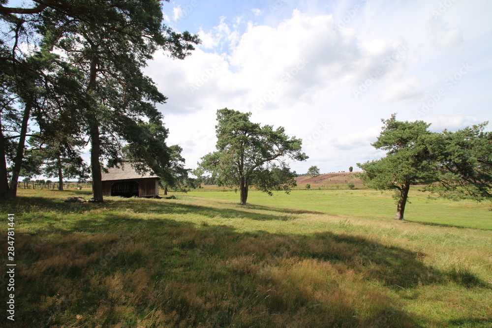 Reet gedeckter Schafstall mitten in der Lüneburger Heide