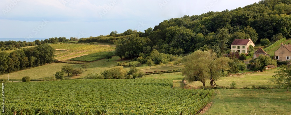 Fototapeta premium Côte Chalonnaise à Givry en Bourgogne.