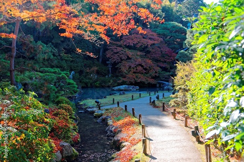 Scenery of a Japanese garden in  a famous , free entry park in Kyoto, Japan, with view of a footpath around a pond and fiery maple trees by the lakeside on a beautiful autumn day photo