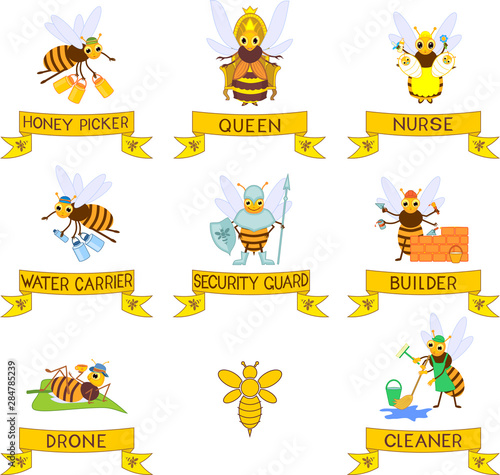 Set of different cartoon bee social castes with titles isolated on white background