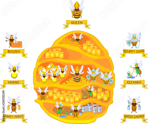 Yellow cartoon beehive and honey bee family isolated on white background. Internal structure of beehive