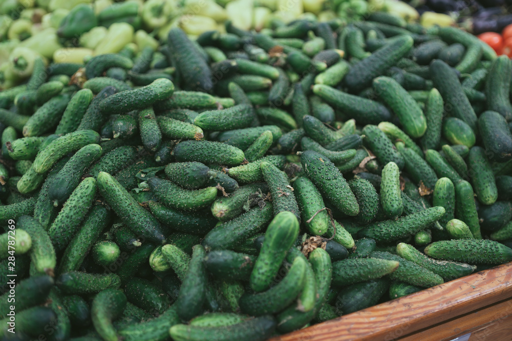 Cucumbers in wooden box. Fresh green cucumbers in wooden box with straw Cucumbers in wooden box. Fresh green cucumbers in wooden box with straw