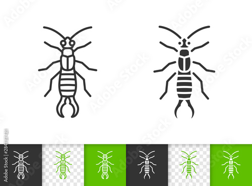 Earwig Dermaptera insect simple line vector icon photo