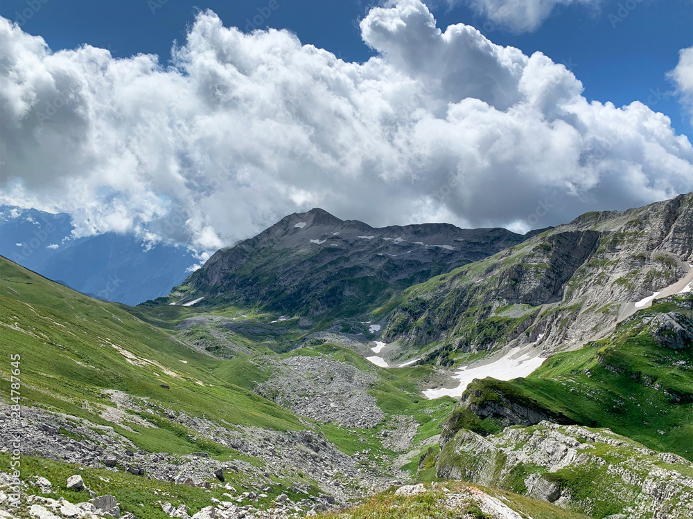 Abkhazia, plateau Arabica and mountain Arabica in summer day