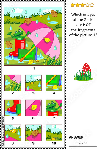 Visual logic puzzle with umbrella, gumboots and happy frog outdoor at rainy summer or autumn day: Which images of the 2 - 10 are NOT the fragments of the picture 1?