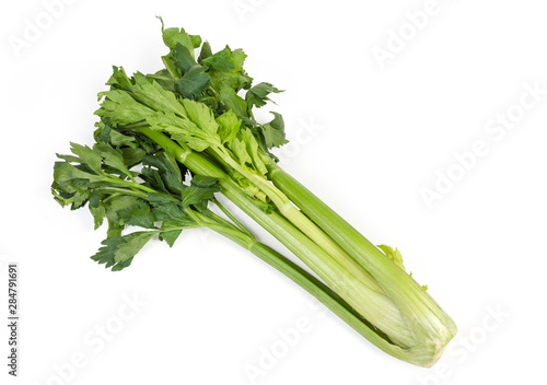 Fresh green celery stem on a white background