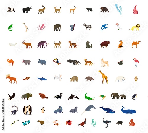 Animal Colorful Icon Set for Children and Kids. Vector Illustration. Stock  Vector | Adobe Stock