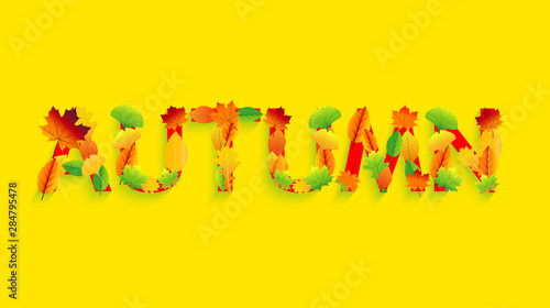 Autumn vector design set of posters and background