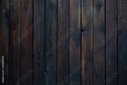 Wallpaper Mural Wood texture. Macro background image of a wet dark wood Torontodigital.ca