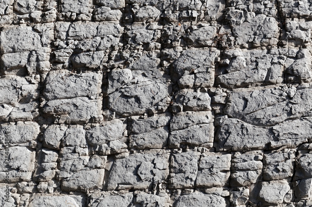 The surface of a nodular limestone The surface of a nodular limestone