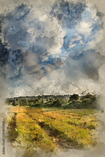 Digital watercolor painting of Beautiful Summer sunset landscape image of Ashdown Forest in English countryside with vivd colors