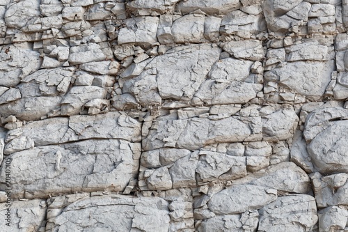 The surface of a nodular limestone