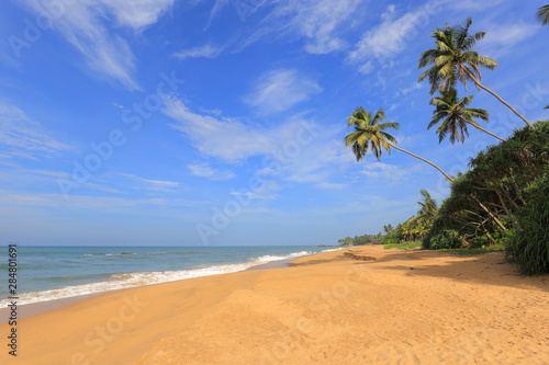 Wild tropical beach and ocean in Sri Lanka