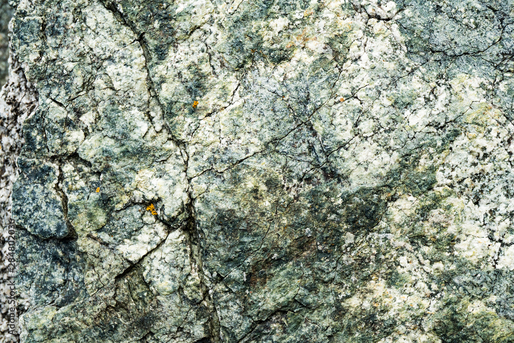 The texture of the stone overgrown with moss. Background image of a boulder The texture of the stone overgrown with moss. Background image of a boulder