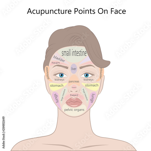 Active acupuncture points on the face,  Illustration Isolated on white background